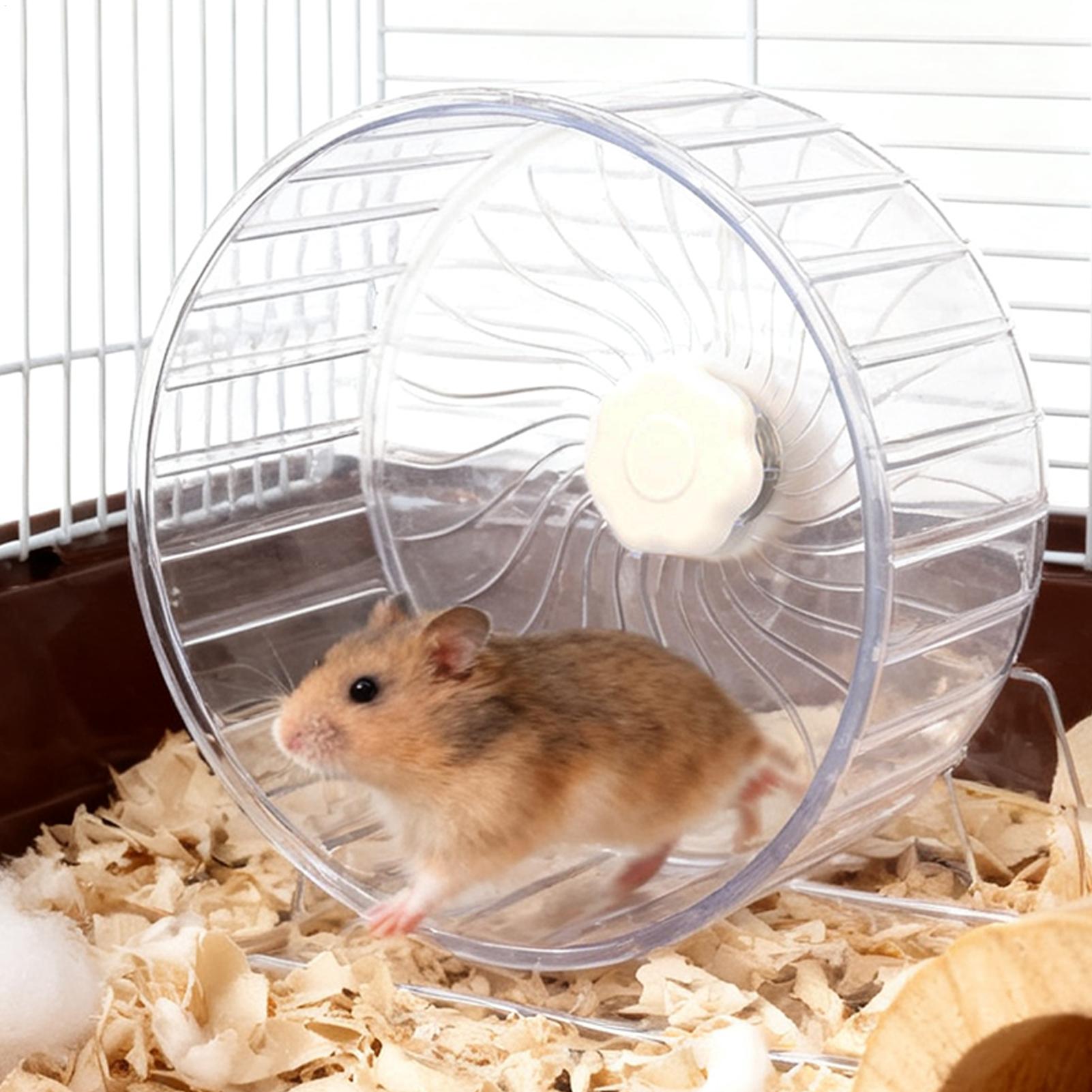 Hamster Cage Wheel - Roda Lari Hamster Transparan Lebar, Mainan