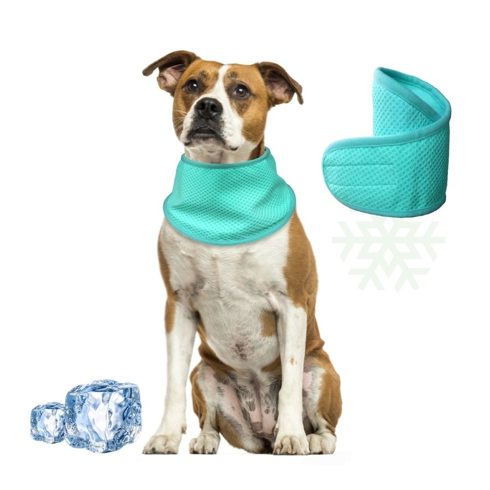 Dog Bandana Scarf - Bandana Pendingin Anjing Baru yang Dapat