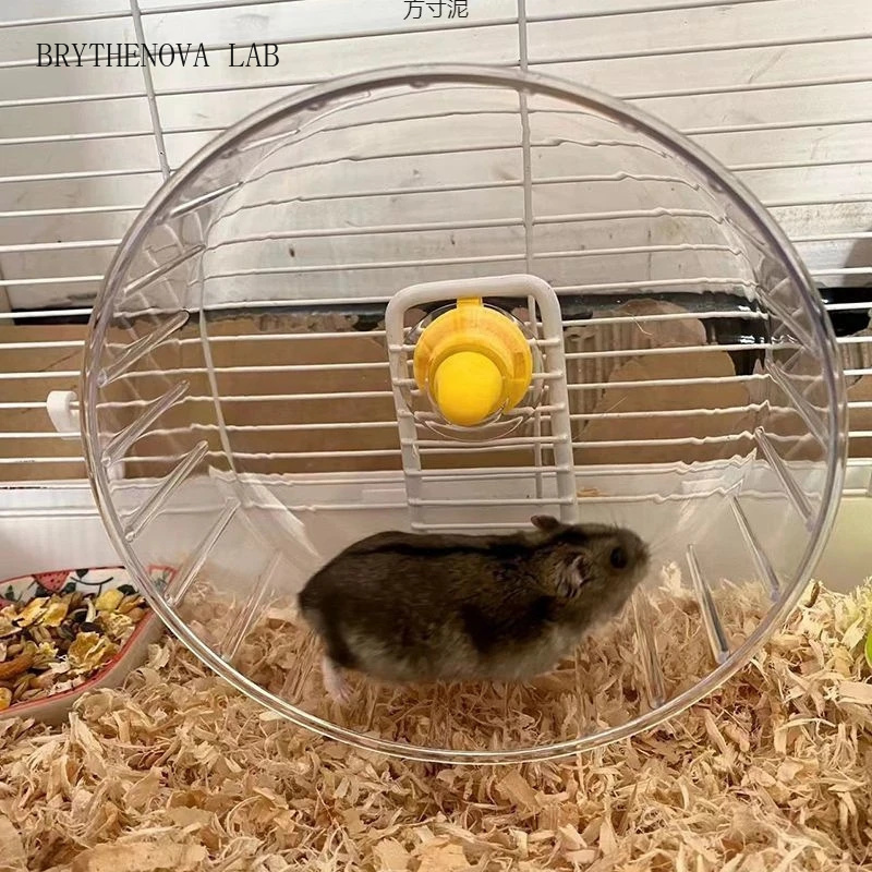 Roda Lari Hamster dengan Duduk - Hamster Cage Wheel ulasan dan harga