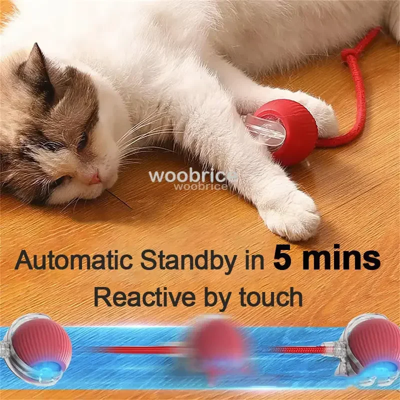 Mainan Kucing Pintar HOT, Bola - Pet Supplies First ulasan dan harga