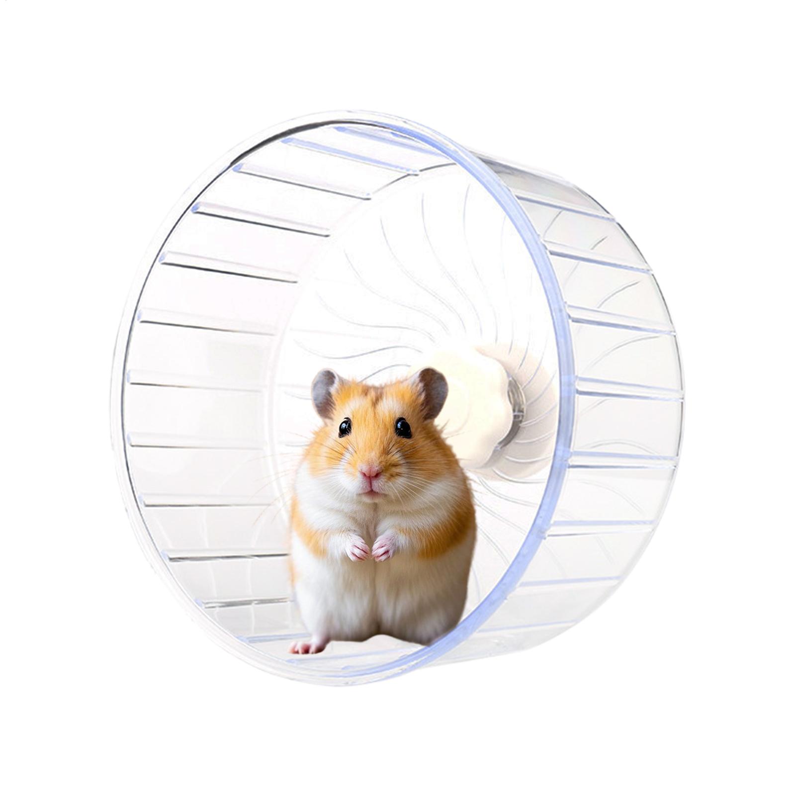 Roda Lari Hamster Transparan L - Hamster Cage Wheel ulasan dan harga