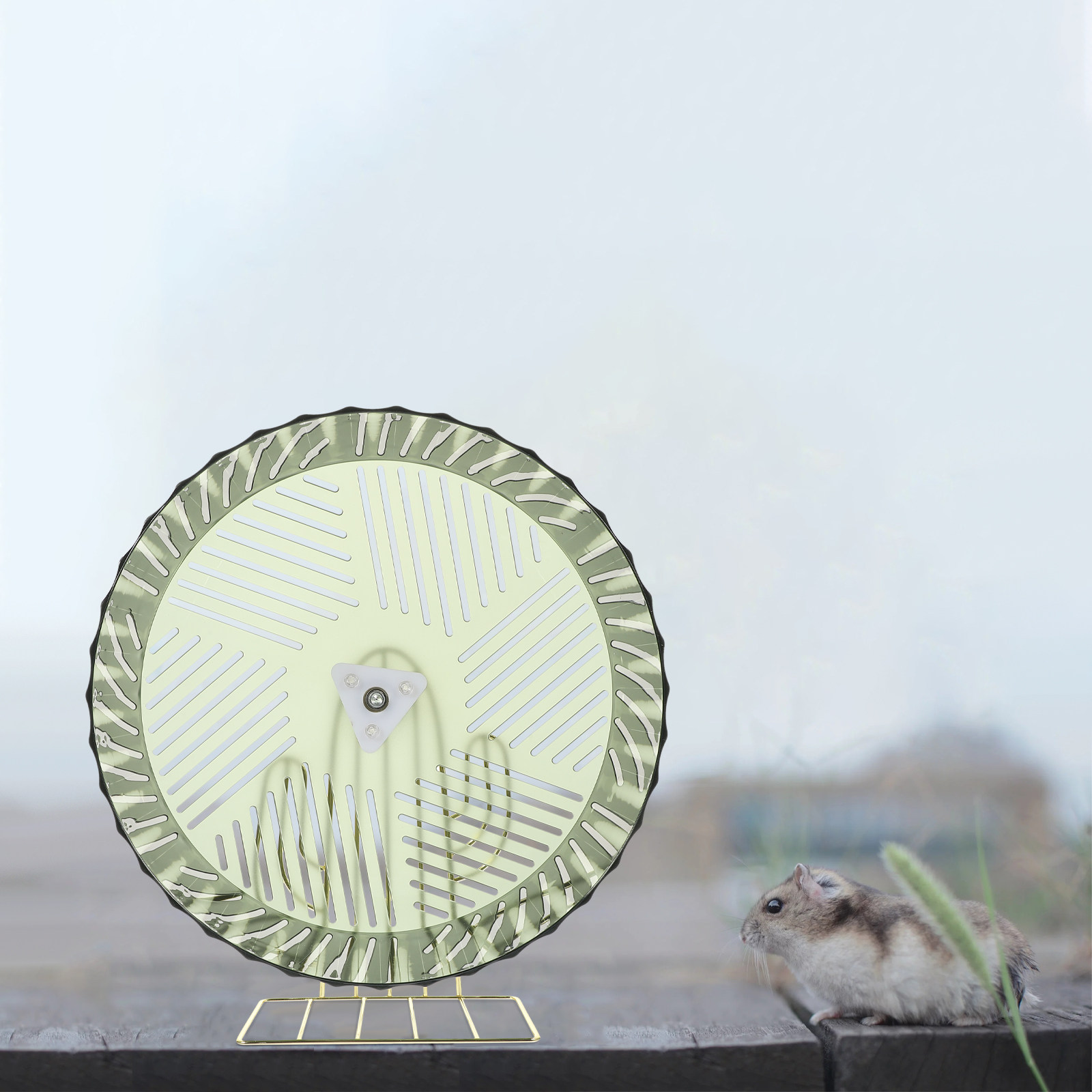 Roda Latihan Hamster untuk Per - Hamster Cage Wheel ulasan dan harga