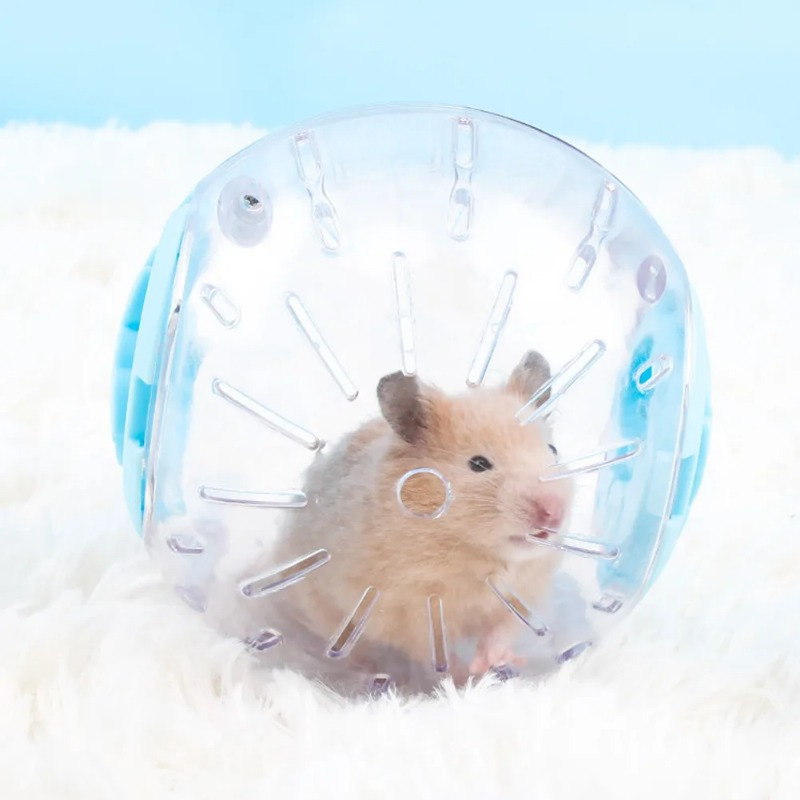 Bola olahraga luar ruangan pla - Hamster Cage Wheel ulasan dan harga