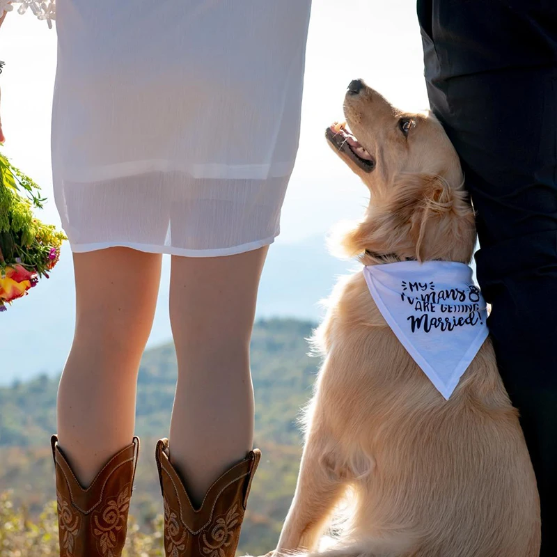 Manusia Saya Akan Menikah Band - Dog Bandana Scarf ulasan dan harga
