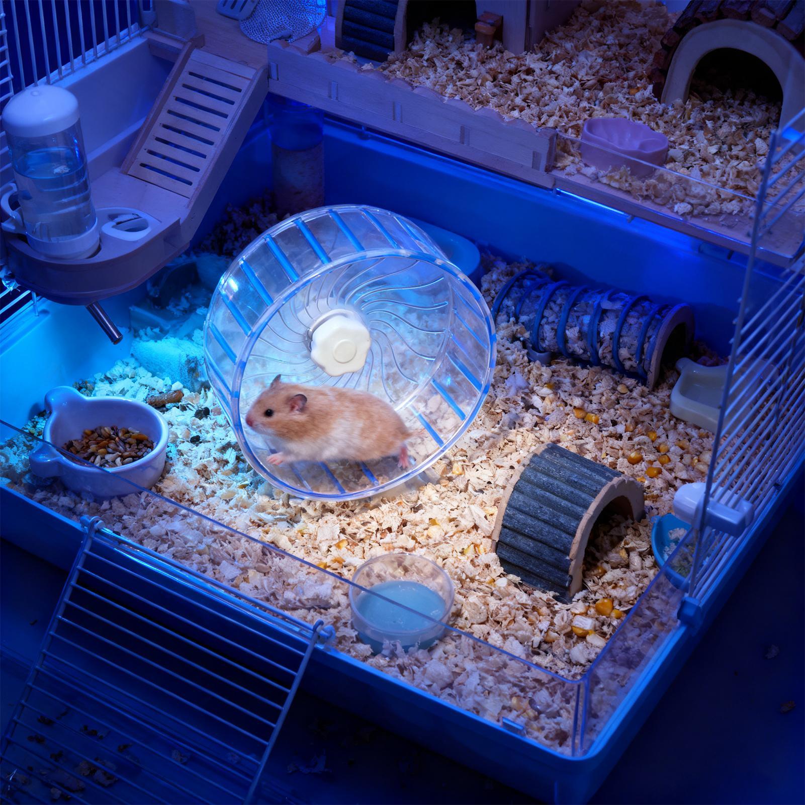Roda Hamster Senyap dengan Ban - Hamster Cage Wheel ulasan dan harga
