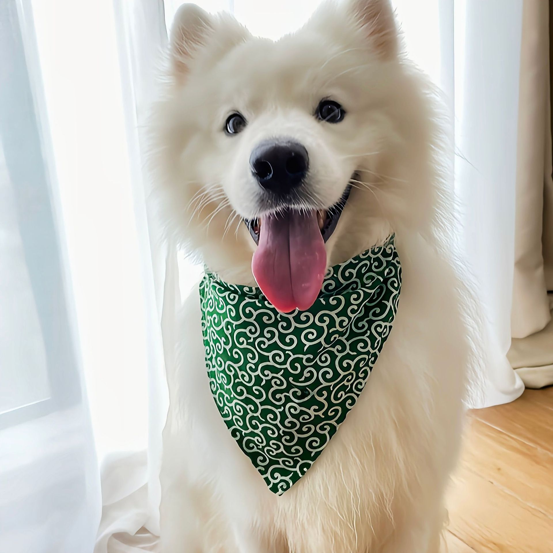 Aksesori Anjing Kerah Bandana  - Dog Bandana Scarf ulasan dan harga